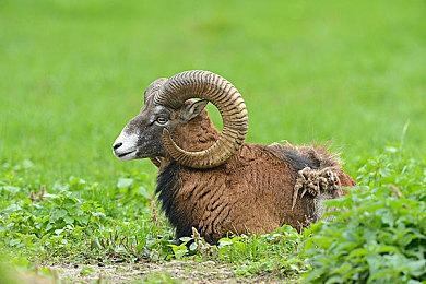 《极限竞速：地平线5》全地图公布 新截图分享