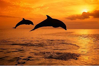 《霍格沃兹：遗产》确认现身科隆展开幕夜直播